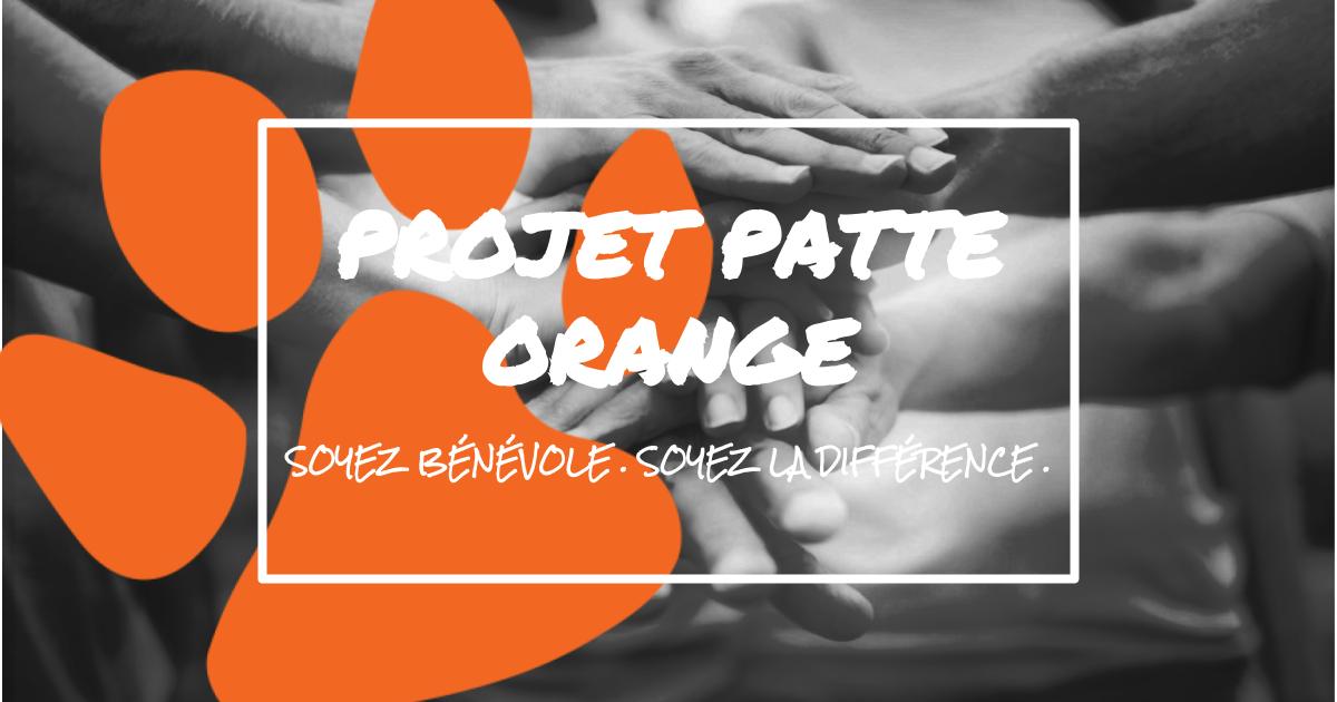 Participer au Projet Patte Orange – Soyez Bénévole. Soyez la Différence.